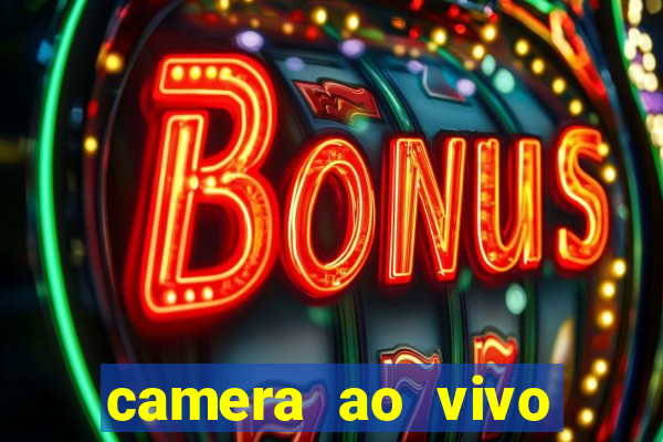 camera ao vivo terminal vila nova cachoeirinha